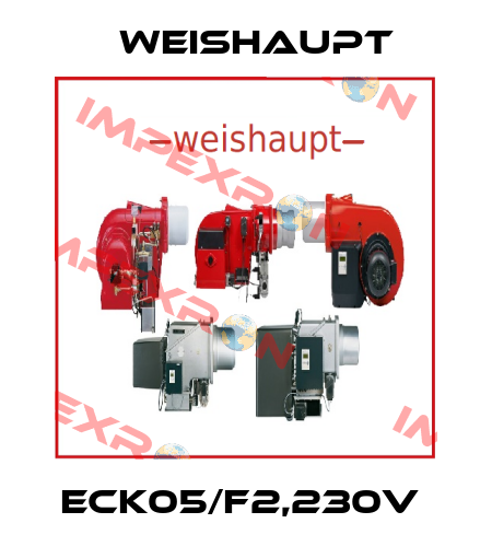 ECK05/F2,230V  Weishaupt
