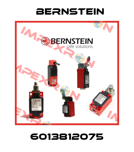6013812075 Bernstein