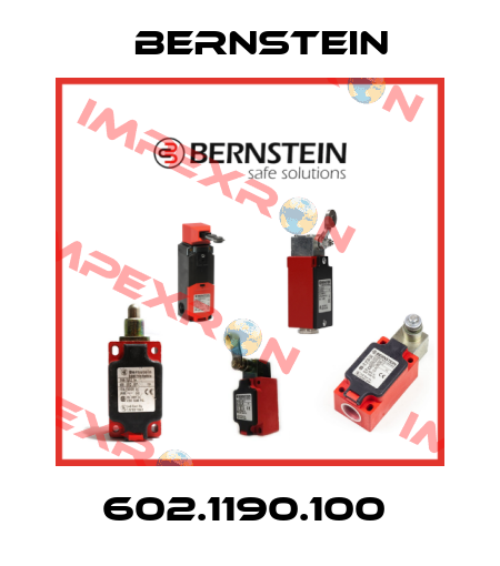 602.1190.100  Bernstein