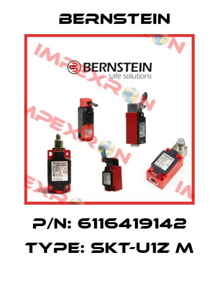 P/N: 6116419142 Type: SKT-U1Z M  Bernstein