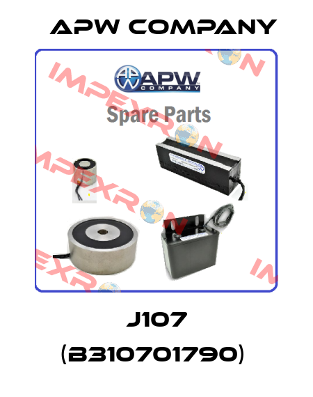 J107 (B310701790)  Apw Company