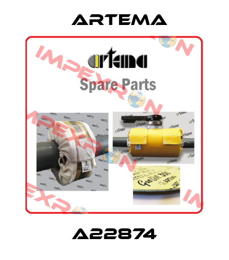A22874 ARTEMA
