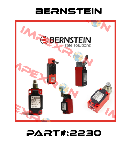 PART#:2230  Bernstein