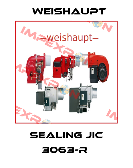 SEALING JIC 3063-R  Weishaupt