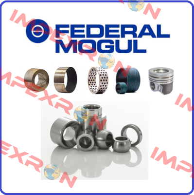 5686200806BS Federal Mogul