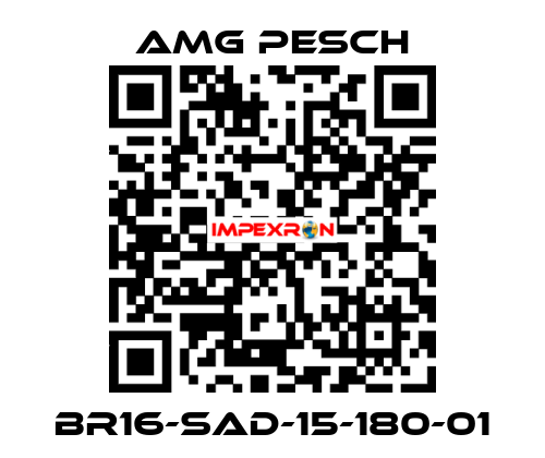 BR16-SAD-15-180-01 AMG Pesch