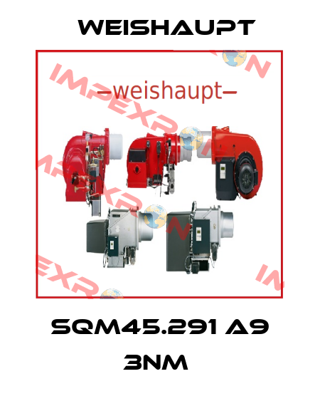 SQM45.291 A9 3NM  Weishaupt