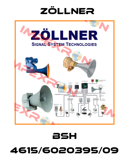 BSH 4615/6020395/09 Zöllner