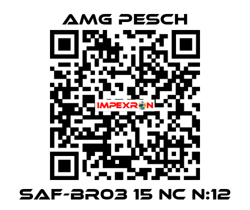 SAF-BR03 15 NC n:12 AMG Pesch
