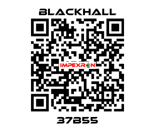 37B55 Blackhall
