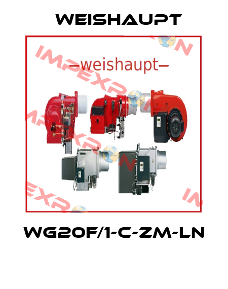WG20F/1-C-ZM-LN  Weishaupt