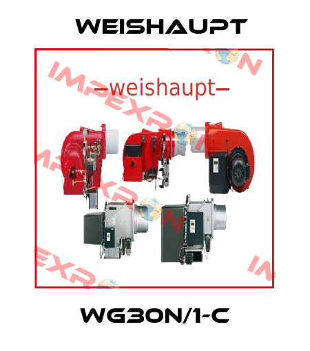 WG30N/1-C Weishaupt