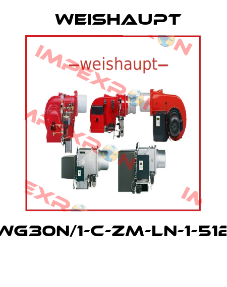 WG30N/1-C-ZM-LN-1-512  Weishaupt