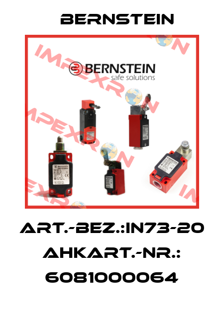 Art.-Bez.:IN73-20 AHKArt.-Nr.: 6081000064 Bernstein