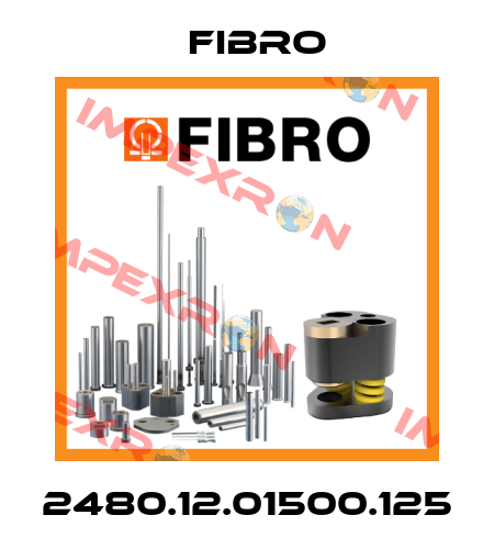 2480.12.01500.125 Fibro