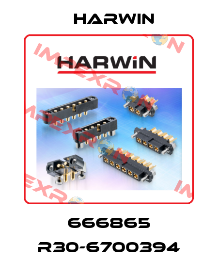 666865 R30-6700394 Harwin