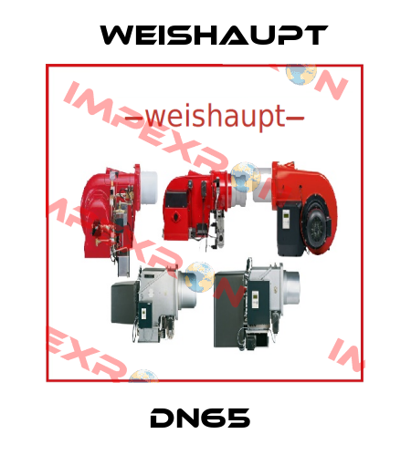 DN65  Weishaupt