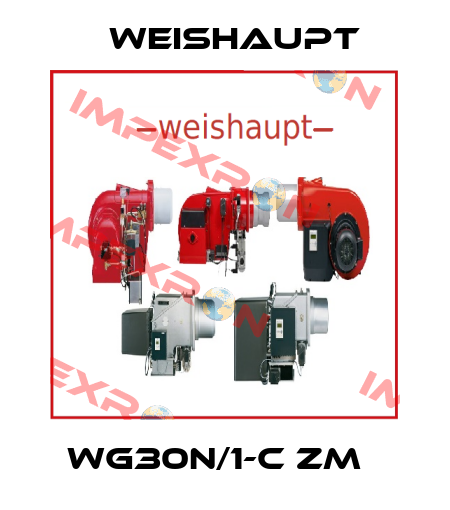 WG30N/1-C ZM   Weishaupt
