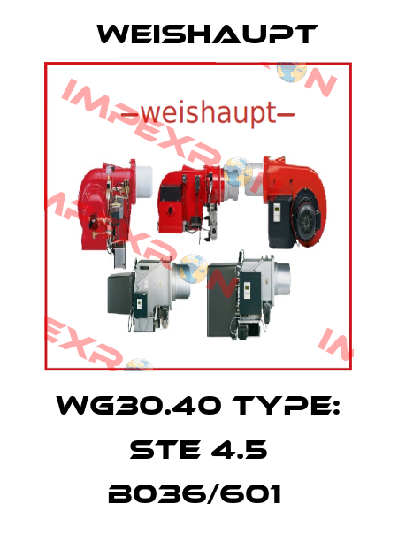 WG30.40 Type: STE 4.5 B036/601  Weishaupt