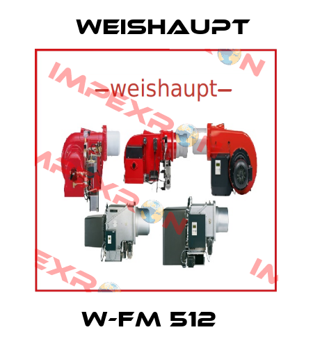 W-FM 512   Weishaupt