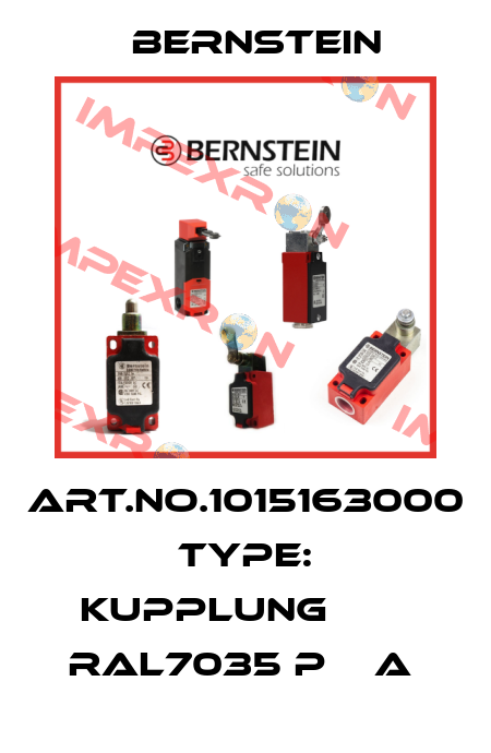 Art.No.1015163000 Type: KUPPLUNG        RAL7035 P    A  Bernstein