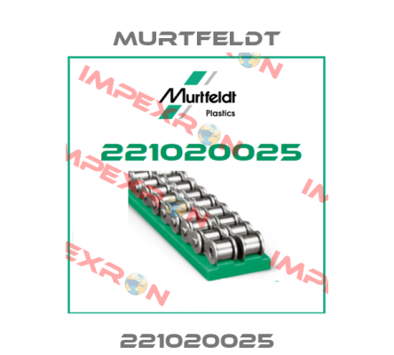 221020025 Murtfeldt