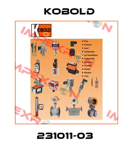 231011-03  Kobold