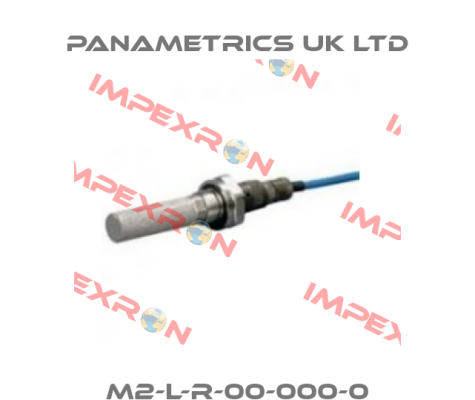 M2-L-R-00-000-0 PANAMETRICS UK LTD