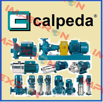 25.01 Calpeda