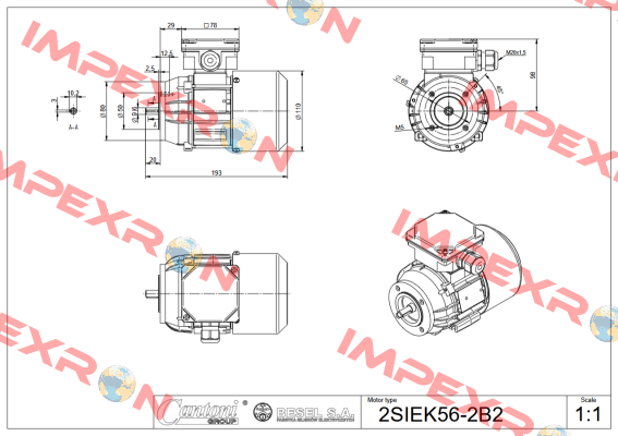 2SIEK56x-4C2 BESEL S.A.