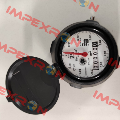 318018 Typ M25 R 100 Liter Badger Meter